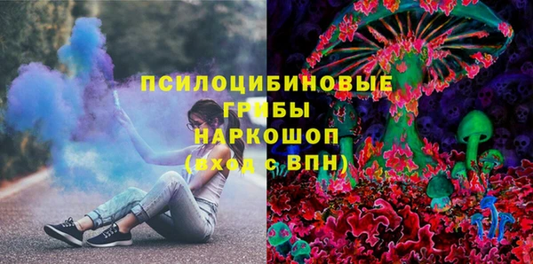 шишки Баксан