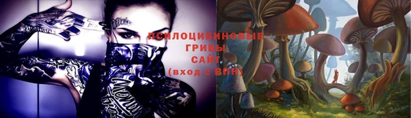 шишки Баксан