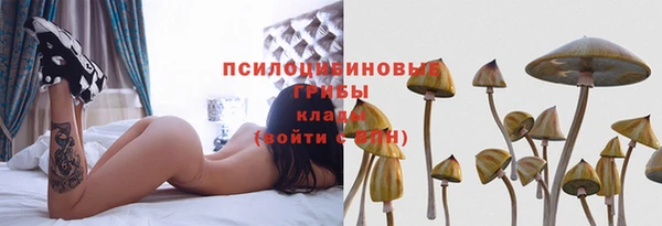 стаф Балахна