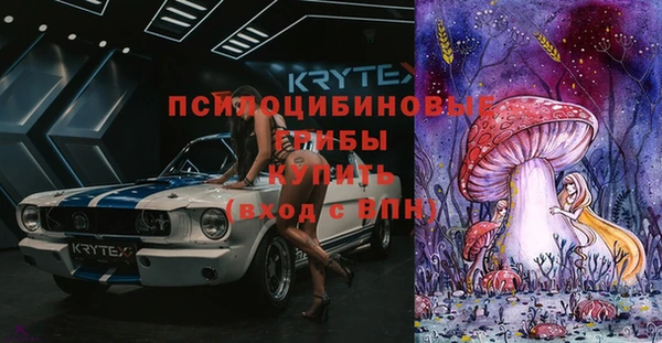 стаф Балахна