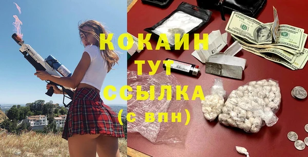 шишки Баксан
