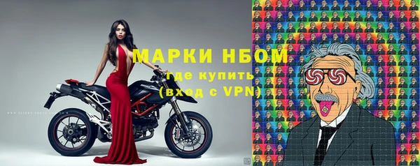 шишки Баксан