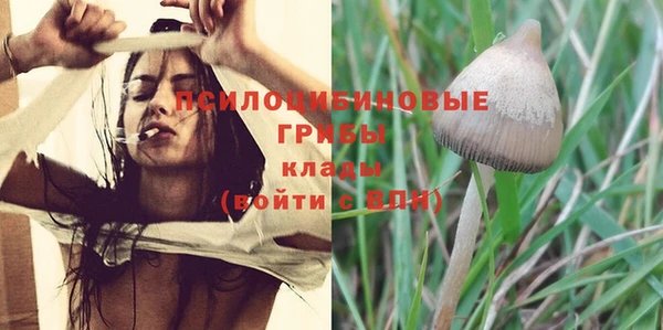стаф Балахна
