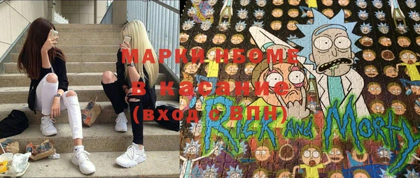шишки Баксан