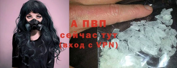 шишки Баксан