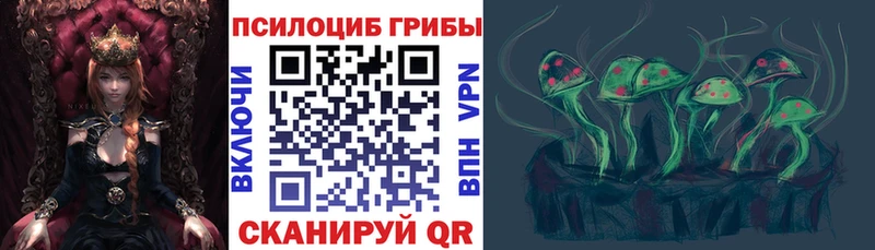 Галлюциногенные грибы Cubensis  Красный Кут 